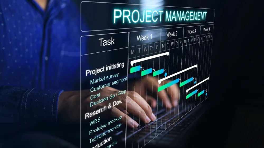 project manager